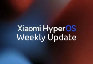 Weekly-Update