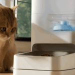Screenshot-2023-12-20-at-09-26-08-El-nuevo-comedero-Xiaomi-para-mascotas-puede-darle-de-comer-a-tu-gato-30-dias-sin-tener-que-preocuparte.-Y-te-dice-si-esta-comiendo-o-no