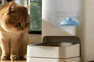Screenshot-2023-12-20-at-09-26-08-El-nuevo-comedero-Xiaomi-para-mascotas-puede-darle-de-comer-a-tu-gato-30-dias-sin-tener-que-preocuparte.-Y-te-dice-si-esta-comiendo-o-no