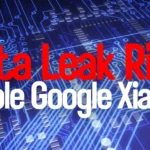 Apple Google Xiaomi Data Leak Risks