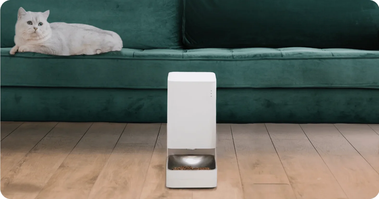 Xiaomi pet technology